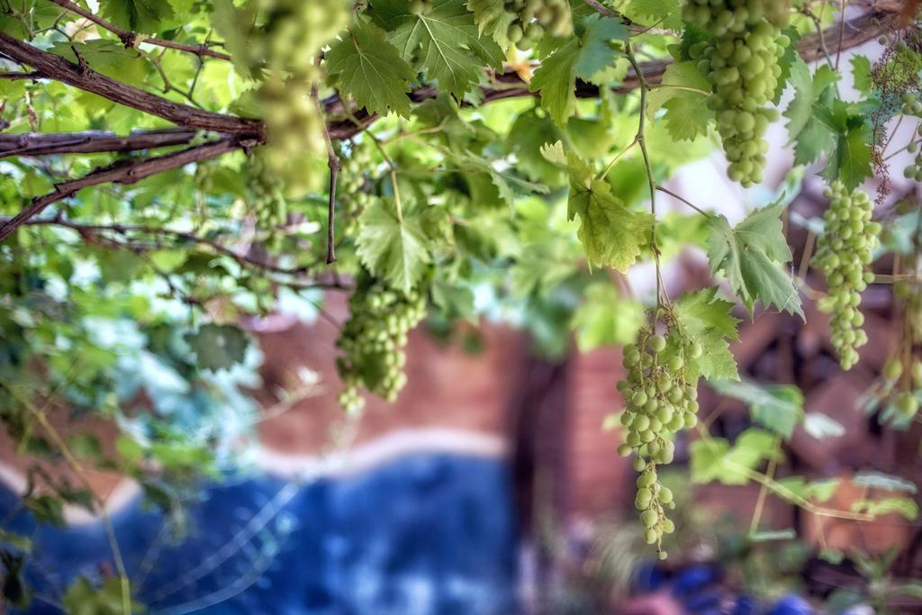 Dar Baibou Bed and Breakfast Chefchaouen Εξωτερικό φωτογραφία